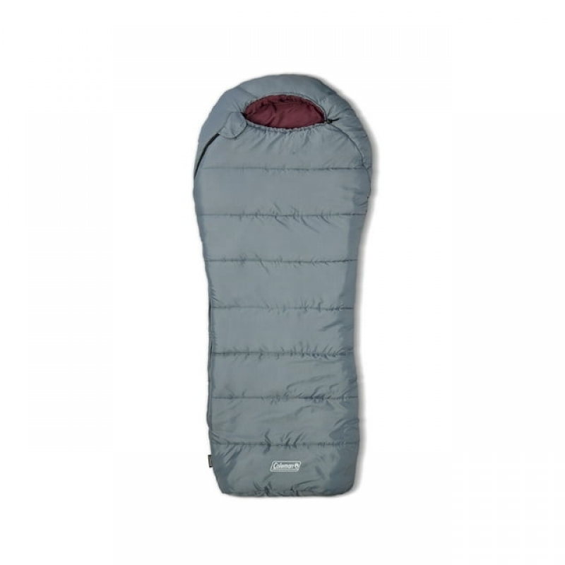 ihocon: Coleman Tidelands 50-Degree Warm Weather Mummy Big and Tall Sleeping Bag 睡袋