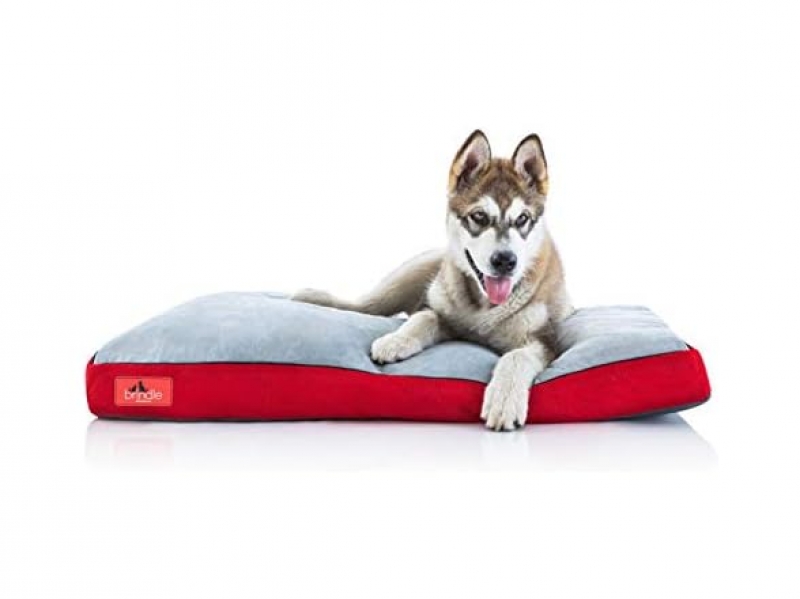 ihocon: Brindle Shredded Memory Foam Dog Bed with Removable Washable Cover - Plush Orthopedic Pet Bed - 40 x 26吋 記憶綿狗床帶