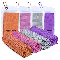 ihocon: Alsol Lamesa 4 Packs Cooling Towel (40x 12) 運動涼巾
