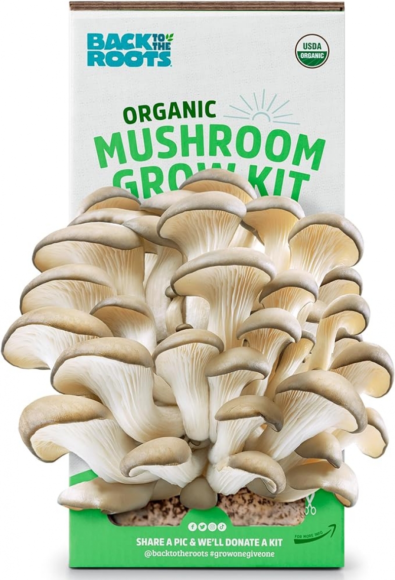 ihocon: Back to the Roots Organic Mushroom Growing Kit 有機蘑菇種植包
