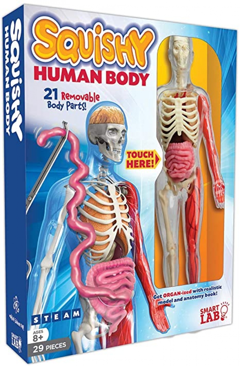 ihocon: SmartLab Toys Squishy Human Body with 21 Removable Body Parts with Anatomy Book  玩具柔軟的人體，帶有 21 個可拆卸的身體部位和解剖書