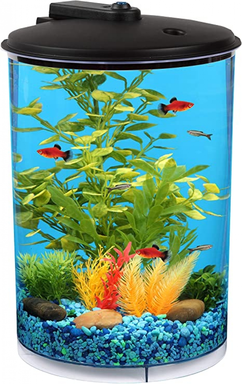 ihocon: Koller Products 3-Gallon 360 Aquarium with LED Lighting (7 Color Choices) and Power Filter 水族箱